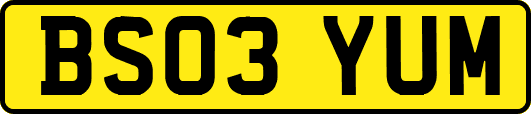 BS03YUM