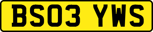 BS03YWS
