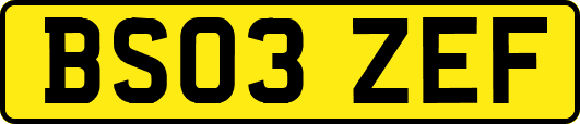 BS03ZEF