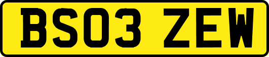 BS03ZEW