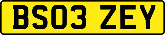 BS03ZEY