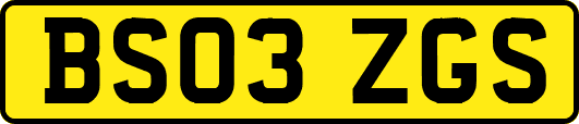 BS03ZGS