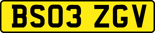 BS03ZGV
