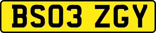 BS03ZGY