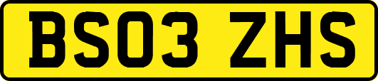 BS03ZHS
