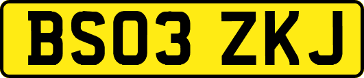 BS03ZKJ