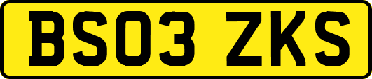 BS03ZKS