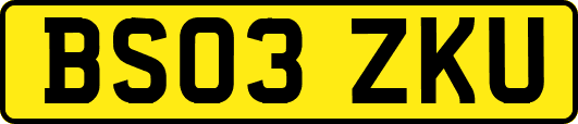 BS03ZKU