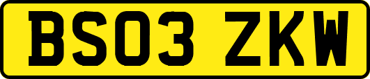 BS03ZKW