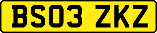 BS03ZKZ
