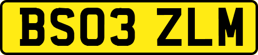 BS03ZLM