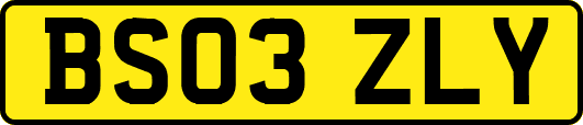 BS03ZLY