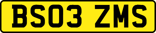 BS03ZMS