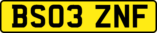 BS03ZNF