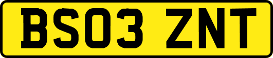 BS03ZNT
