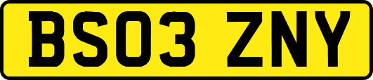 BS03ZNY