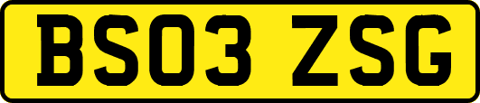 BS03ZSG