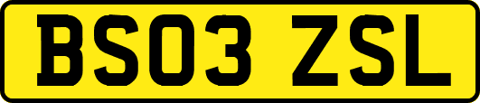 BS03ZSL