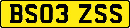 BS03ZSS