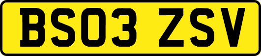 BS03ZSV