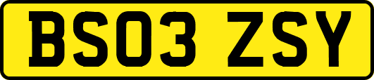BS03ZSY