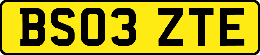 BS03ZTE