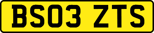 BS03ZTS