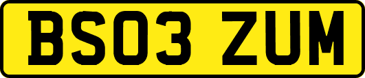 BS03ZUM