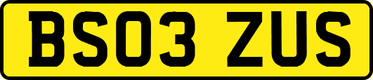 BS03ZUS