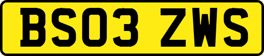 BS03ZWS