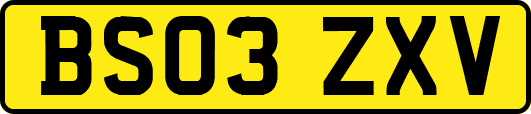 BS03ZXV