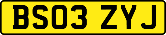 BS03ZYJ