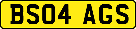 BS04AGS