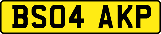 BS04AKP