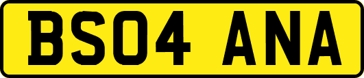 BS04ANA
