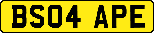 BS04APE