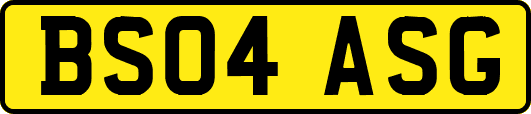 BS04ASG