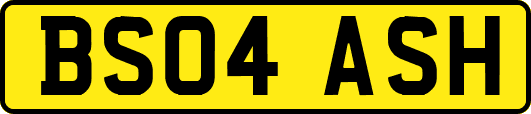 BS04ASH