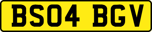 BS04BGV
