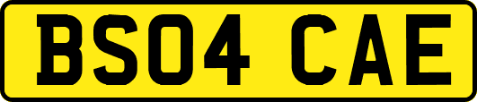 BS04CAE