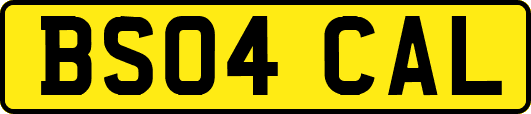 BS04CAL