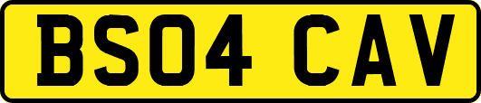BS04CAV