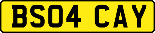 BS04CAY