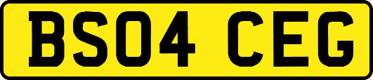 BS04CEG