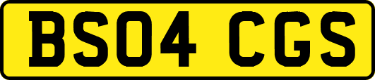 BS04CGS