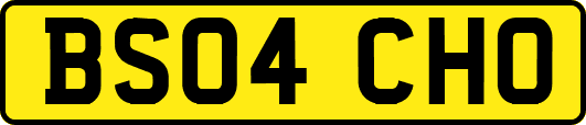 BS04CHO