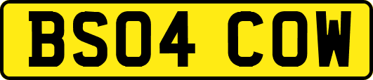 BS04COW