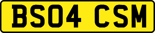 BS04CSM