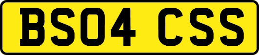 BS04CSS