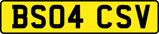 BS04CSV
